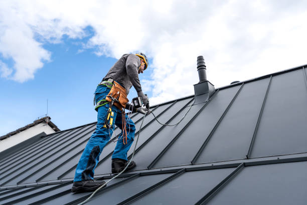 Best Skylight Installation and Repair  in Blanchard, OK